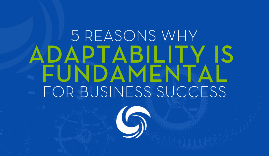 5 reasons why adaptability is fundamental for business success
